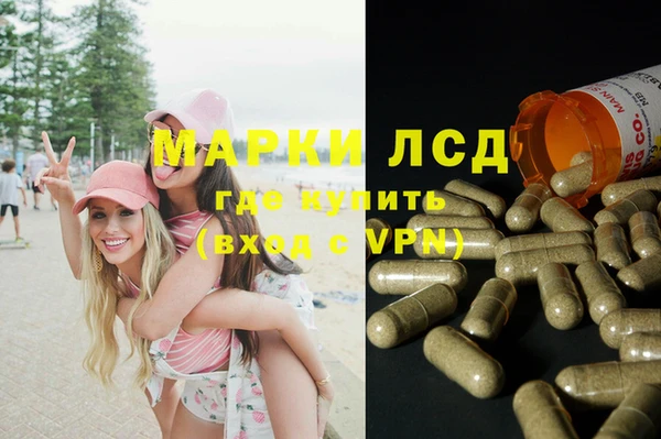 тгк Алзамай