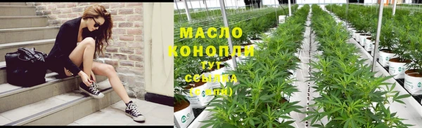 тгк Алзамай